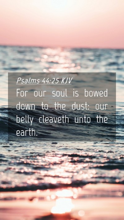Picture 04 - Psalms 44:25 KJV Mobile Phone Wallpaper - For our soul is bowed down to the dust: our belly - Mobile Bible Verse Wallpaper