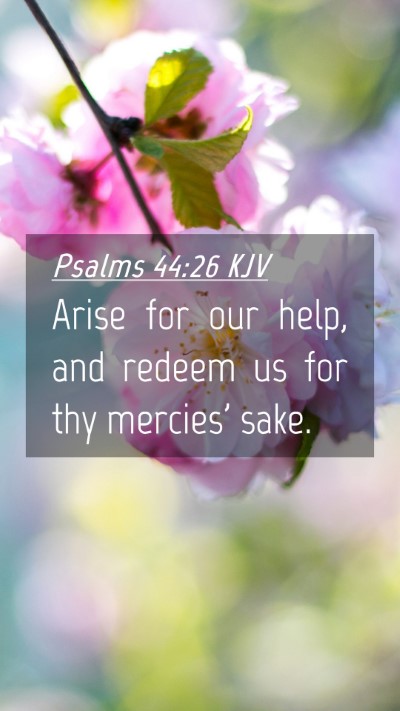Picture 04 - Psalms 44:26 KJV Mobile Phone Wallpaper - Arise for our help, and redeem us for thy - Mobile Bible Verse Wallpaper