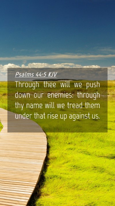 Picture 04 - Psalms 44:5 KJV Mobile Phone Wallpaper - Through thee will we push down our enemies: - Mobile Bible Verse Wallpaper