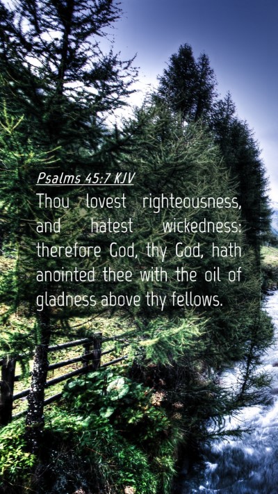 Picture 04 - Psalms 45:7 KJV Mobile Phone Wallpaper - Thou lovest righteousness, and hatest wickedness: - Mobile Bible Verse Wallpaper
