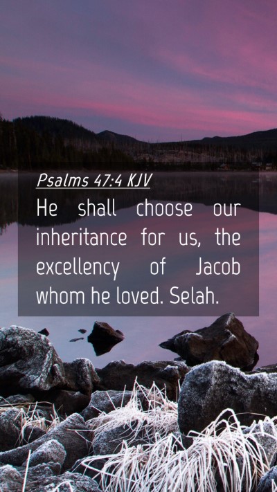 Picture 04 - Psalms 47:4 KJV Mobile Phone Wallpaper - He shall choose our inheritance for us, the - Mobile Bible Verse Wallpaper
