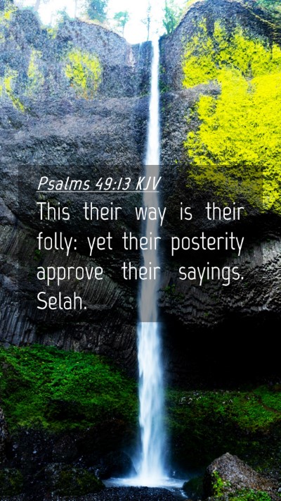 Picture 04 - Psalms 49:13 KJV Mobile Phone Wallpaper - This their way is their folly: yet their - Mobile Bible Verse Wallpaper