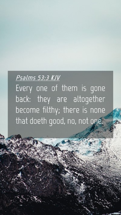 Picture 04 - Psalms 53:3 KJV Mobile Phone Wallpaper - Every one of them is gone back: they are - Mobile Bible Verse Wallpaper