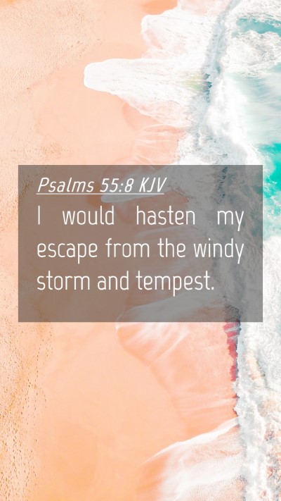 Picture 04 - Psalms 55:8 KJV Mobile Phone Wallpaper - I would hasten my escape from the windy storm and - Mobile Bible Verse Wallpaper
