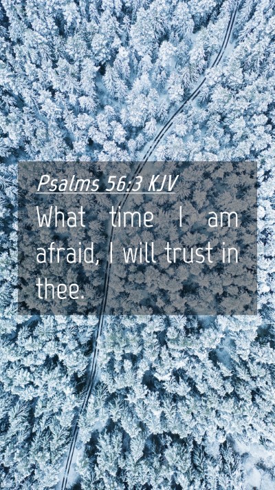 Picture 04 - Psalms 56:3 KJV Mobile Phone Wallpaper - What time I am afraid, I will trust in - Mobile Bible Verse Wallpaper