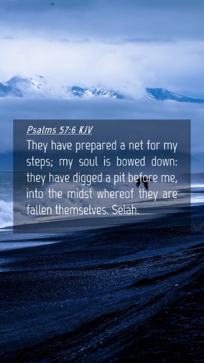 Picture 04 - Psalms 57:6 KJV Mobile Phone Wallpaper - They have prepared a net for my steps; my soul is - Mobile Bible Verse Wallpaper