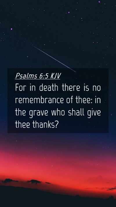 Picture 04 - Psalms 6:5 KJV Mobile Phone Wallpaper - For in death there is no remembrance of thee: in - Mobile Bible Verse Wallpaper