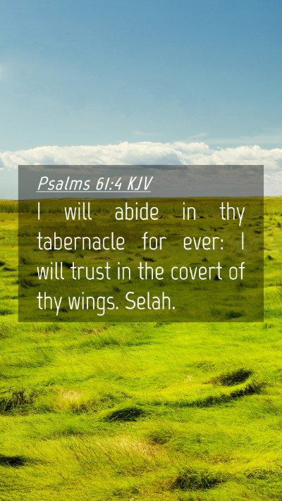 Picture 04 - Psalms 61:4 KJV Mobile Phone Wallpaper - I will abide in thy tabernacle for ever: I will - Mobile Bible Verse Wallpaper