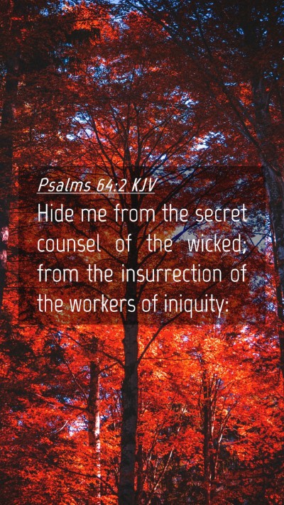 Picture 04 - Psalms 64:2 KJV Mobile Phone Wallpaper - Hide me from the secret counsel of the wicked; - Mobile Bible Verse Wallpaper
