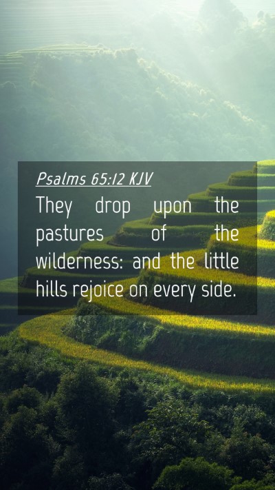 Picture 04 - Psalms 65:12 KJV Mobile Phone Wallpaper - They drop upon the pastures of the wilderness: - Mobile Bible Verse Wallpaper