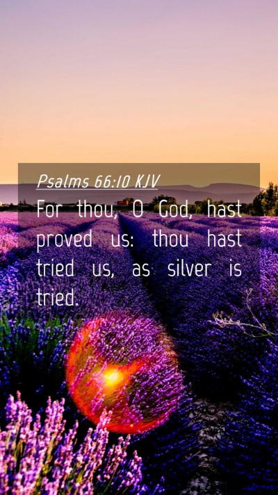 Picture 04 - Psalms 66:10 KJV Mobile Phone Wallpaper - For thou, O God, hast proved us: thou hast tried - Mobile Bible Verse Wallpaper
