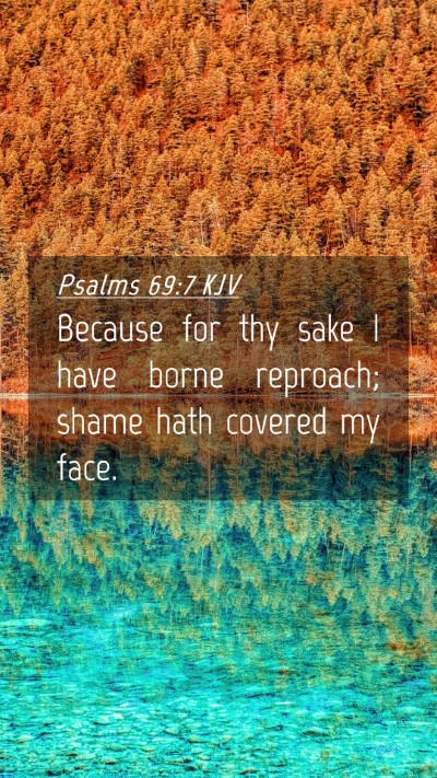 Picture 04 - Psalms 69:7 KJV Mobile Phone Wallpaper - Because for thy sake I have borne reproach; shame - Mobile Bible Verse Wallpaper