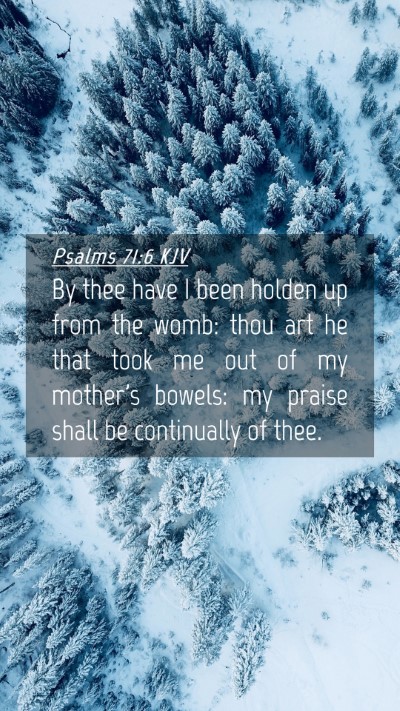 Picture 04 - Psalms 71:6 KJV Mobile Phone Wallpaper - By thee have I been holden up from the womb: thou - Mobile Bible Verse Wallpaper