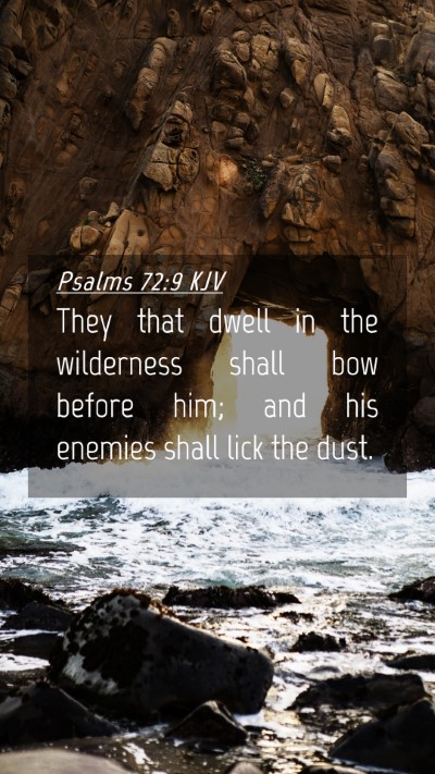 Picture 04 - Psalms 72:9 KJV Mobile Phone Wallpaper - They that dwell in the wilderness shall bow - Mobile Bible Verse Wallpaper
