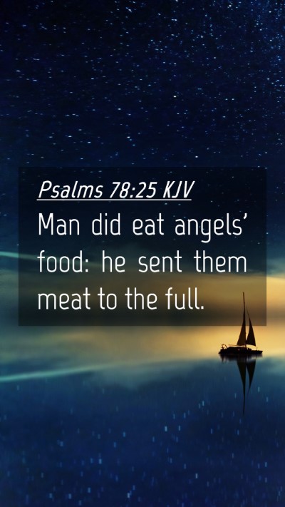 Picture 04 - Psalms 78:25 KJV Mobile Phone Wallpaper - Man did eat angels' food: he sent them meat to - Mobile Bible Verse Wallpaper