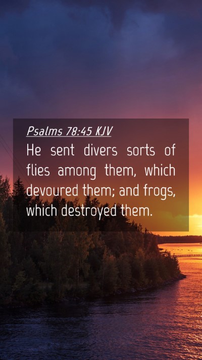 Picture 04 - Psalms 78:45 KJV Mobile Phone Wallpaper - He sent divers sorts of flies among them, which - Mobile Bible Verse Wallpaper