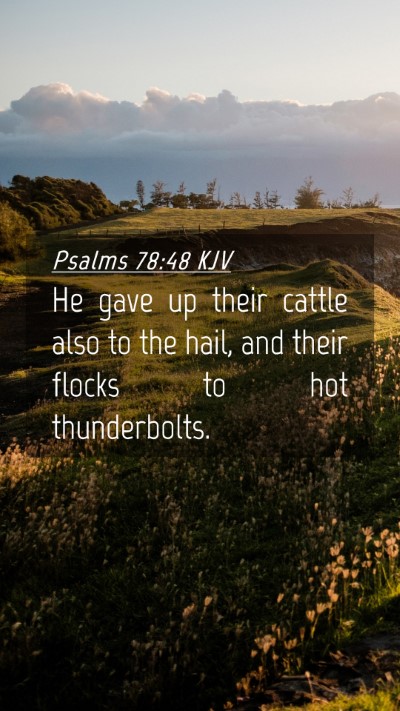 Picture 04 - Psalms 78:48 KJV Mobile Phone Wallpaper - He gave up their cattle also to the hail, and - Mobile Bible Verse Wallpaper