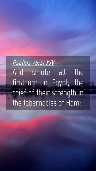 Picture 04 - Psalms 78:51 KJV Mobile Phone Wallpaper - And smote all the firstborn in Egypt; the chief - Mobile Bible Verse Wallpaper