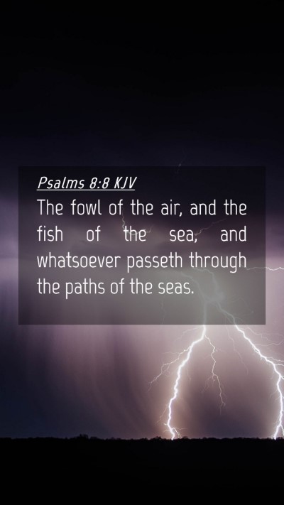 Picture 04 - Psalms 8:8 KJV Mobile Phone Wallpaper - The fowl of the air, and the fish of the sea, and - Mobile Bible Verse Wallpaper