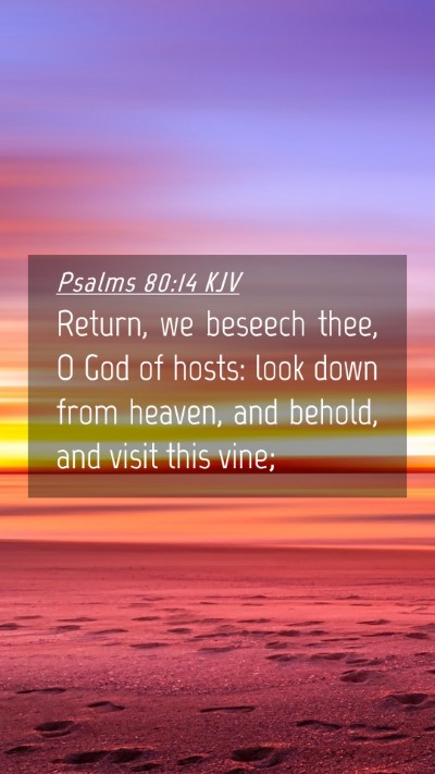 Picture 04 - Psalms 80:14 KJV Mobile Phone Wallpaper - Return, we beseech thee, O God of hosts: look - Mobile Bible Verse Wallpaper
