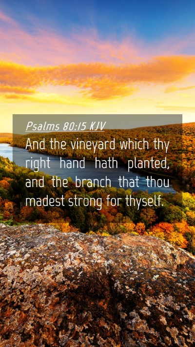 Picture 04 - Psalms 80:15 KJV Mobile Phone Wallpaper - And the vineyard which thy right hand hath - Mobile Bible Verse Wallpaper