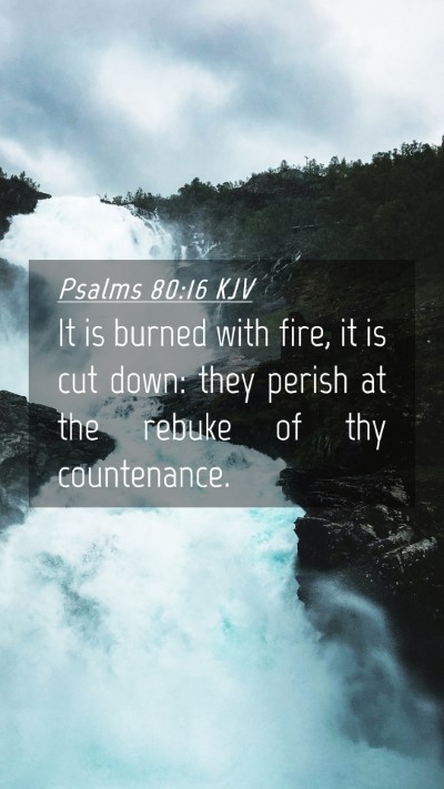 Picture 04 - Psalms 80:16 KJV Mobile Phone Wallpaper - It is burned with fire, it is cut down: they - Mobile Bible Verse Wallpaper