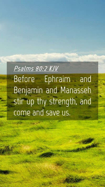 Picture 04 - Psalms 80:2 KJV Mobile Phone Wallpaper - Before Ephraim and Benjamin and Manasseh stir up - Mobile Bible Verse Wallpaper