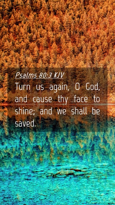 Picture 04 - Psalms 80:3 KJV Mobile Phone Wallpaper - Turn us again, O God, and cause thy face to - Mobile Bible Verse Wallpaper