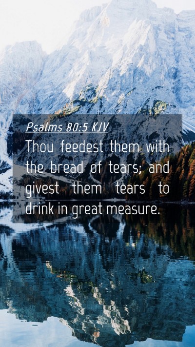 Picture 04 - Psalms 80:5 KJV Mobile Phone Wallpaper - Thou feedest them with the bread of tears; and - Mobile Bible Verse Wallpaper