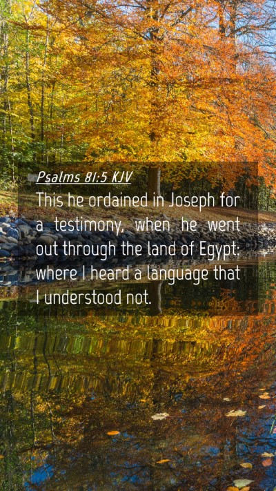 Picture 04 - Psalms 81:5 KJV Mobile Phone Wallpaper - This he ordained in Joseph for a testimony, when - Mobile Bible Verse Wallpaper