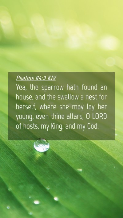 Picture 04 - Psalms 84:3 KJV Mobile Phone Wallpaper - Yea, the sparrow hath found an house, and the - Mobile Bible Verse Wallpaper