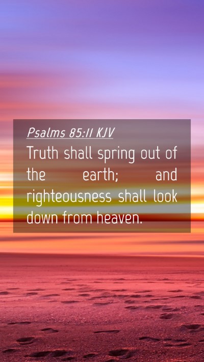 Picture 04 - Psalms 85:11 KJV Mobile Phone Wallpaper - Truth shall spring out of the earth; and - Mobile Bible Verse Wallpaper
