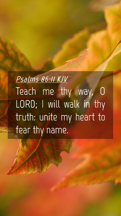 Picture 04 - Psalms 86:11 KJV Mobile Phone Wallpaper - Teach me thy way, O LORD; I will walk in thy - Mobile Bible Verse Wallpaper