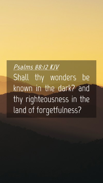 Picture 04 - Psalms 88:12 KJV Mobile Phone Wallpaper - Shall thy wonders be known in the dark? and thy - Mobile Bible Verse Wallpaper