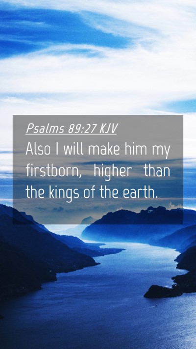 Picture 04 - Psalms 89:27 KJV Mobile Phone Wallpaper - Also I will make him my firstborn, higher than - Mobile Bible Verse Wallpaper