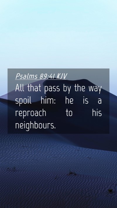 Picture 04 - Psalms 89:41 KJV Mobile Phone Wallpaper - All that pass by the way spoil him: he is a - Mobile Bible Verse Wallpaper