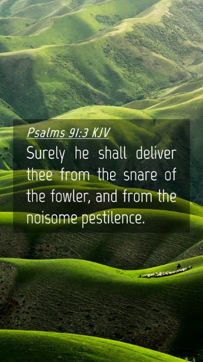 Picture 04 - Psalms 91:3 KJV Mobile Phone Wallpaper - Surely he shall deliver thee from the snare of - Mobile Bible Verse Wallpaper