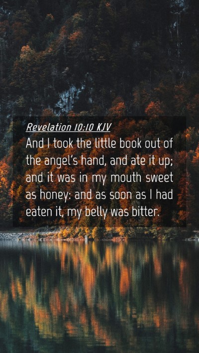 Picture 04 - Revelation 10:10 KJV Mobile Phone Wallpaper - And I took the little book out of the angel's - Mobile Bible Verse Wallpaper