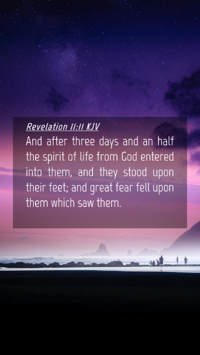 Picture 04 - Revelation 11:11 KJV Mobile Phone Wallpaper - And after three days and an half the spirit of - Mobile Bible Verse Wallpaper
