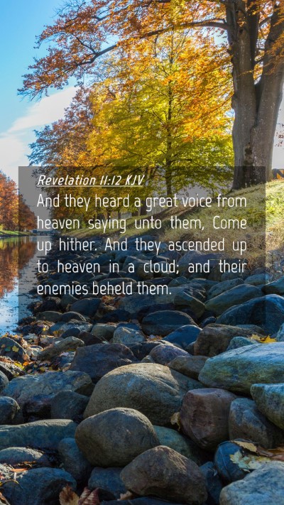 Picture 04 - Revelation 11:12 KJV Mobile Phone Wallpaper - And they heard a great voice from heaven saying - Mobile Bible Verse Wallpaper