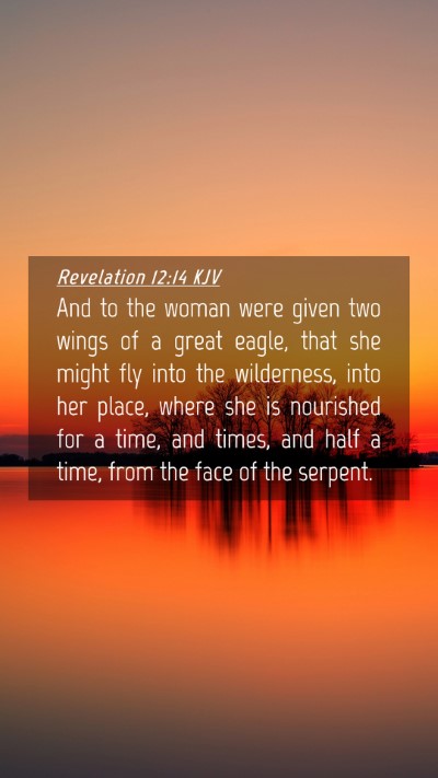 Picture 04 - Revelation 12:14 KJV Mobile Phone Wallpaper - And to the woman were given two wings of a great - Mobile Bible Verse Wallpaper