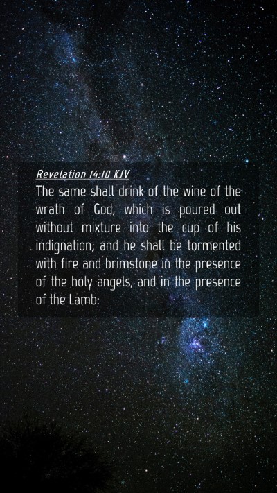 Picture 04 - Revelation 14:10 KJV Mobile Phone Wallpaper - The same shall drink of the wine of the wrath of - Mobile Bible Verse Wallpaper