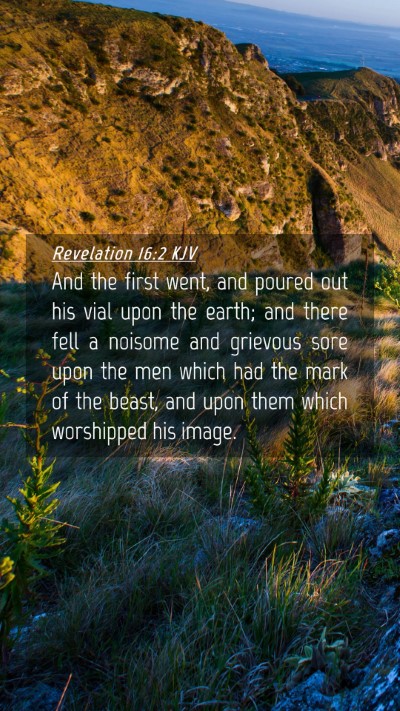 Picture 04 - Revelation 16:2 KJV Mobile Phone Wallpaper - And the first went, and poured out his vial upon - Mobile Bible Verse Wallpaper