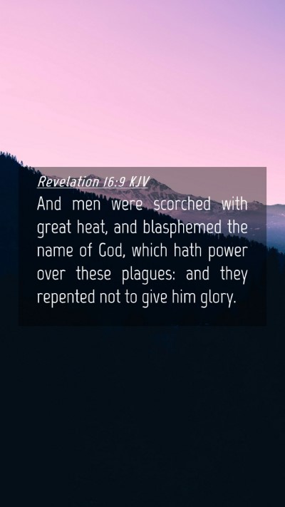 Picture 04 - Revelation 16:9 KJV Mobile Phone Wallpaper - And men were scorched with great heat, and - Mobile Bible Verse Wallpaper