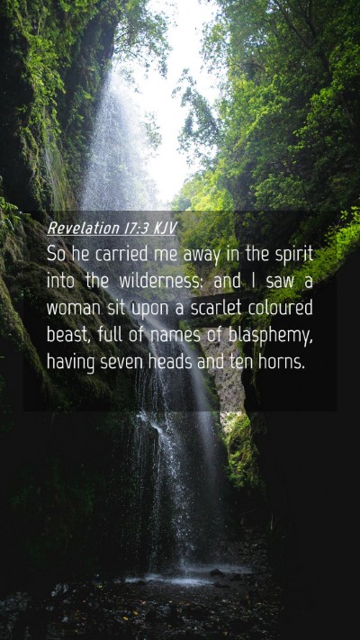 Picture 04 - Revelation 17:3 KJV Mobile Phone Wallpaper - So he carried me away in the spirit into the - Mobile Bible Verse Wallpaper