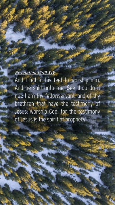Picture 04 - Revelation 19:10 KJV Mobile Phone Wallpaper - And I fell at his feet to worship him. And he - Mobile Bible Verse Wallpaper