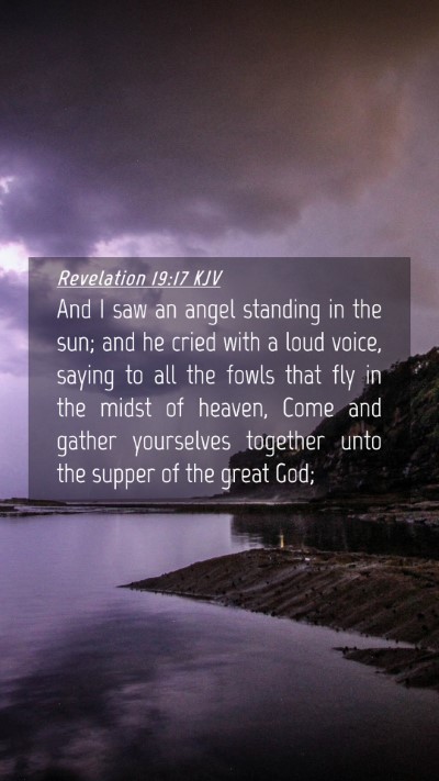 Picture 04 - Revelation 19:17 KJV Mobile Phone Wallpaper - And I saw an angel standing in the sun; and he - Mobile Bible Verse Wallpaper