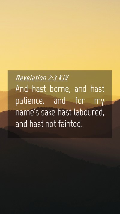 Picture 04 - Revelation 2:3 KJV Mobile Phone Wallpaper - And hast borne, and hast patience, and for my - Mobile Bible Verse Wallpaper