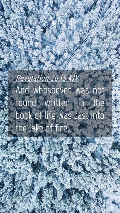 Picture 04 - Revelation 20:15 KJV Mobile Phone Wallpaper - And whosoever was not found written in the book - Mobile Bible Verse Wallpaper