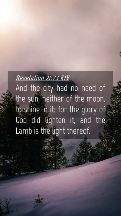 Picture 04 - Revelation 21:23 KJV Mobile Phone Wallpaper - And the city had no need of the sun, neither of - Mobile Bible Verse Wallpaper